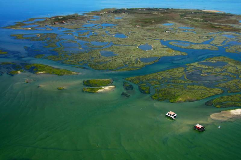 Ile aux oiseaux